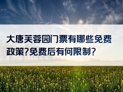 大唐芙蓉园门票有哪些免费政策？免费后有何限制？
