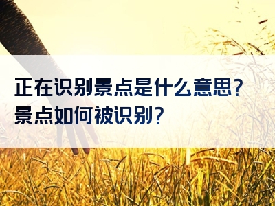 正在识别景点是什么意思？景点如何被识别？