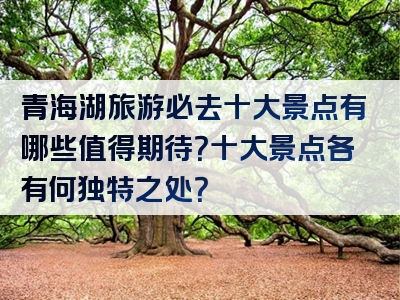 青海湖旅游必去十大景点有哪些值得期待？十大景点各有何独特之处？