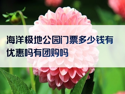 海洋极地公园门票多少钱有优惠吗有团购吗