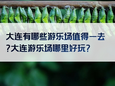 大连有哪些游乐场值得一去？大连游乐场哪里好玩？