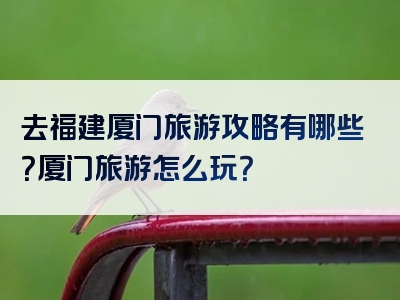 去福建厦门旅游攻略有哪些？厦门旅游怎么玩？