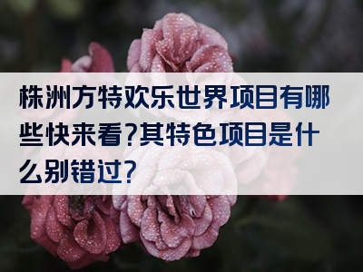 株洲方特欢乐世界项目有哪些快来看？其特色项目是什么别错过？