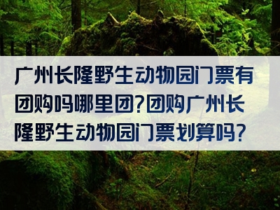 广州长隆野生动物园门票有团购吗哪里团？团购广州长隆野生动物园门票划算吗？