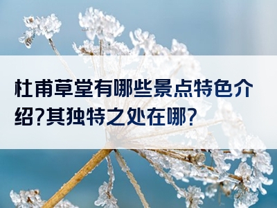 杜甫草堂有哪些景点特色介绍？其独特之处在哪？