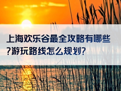 上海欢乐谷最全攻略有哪些？游玩路线怎么规划？