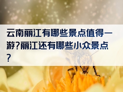 云南丽江有哪些景点值得一游？丽江还有哪些小众景点？