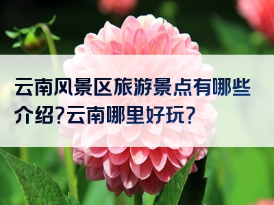 云南风景区旅游景点有哪些介绍？云南哪里好玩？