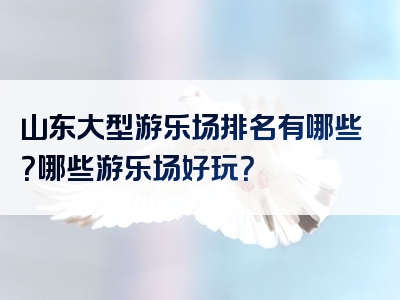 山东大型游乐场排名有哪些？哪些游乐场好玩？
