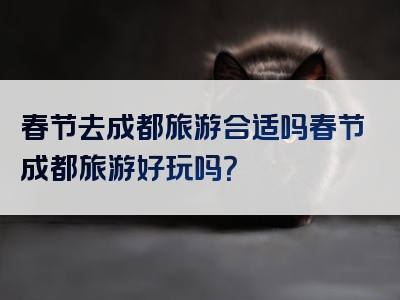 春节去成都旅游合适吗春节成都旅游好玩吗？