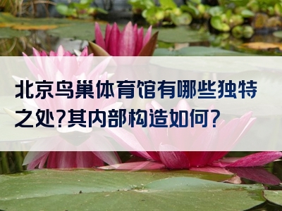 北京鸟巢体育馆有哪些独特之处？其内部构造如何？