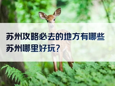 苏州攻略必去的地方有哪些苏州哪里好玩？