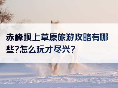 赤峰坝上草原旅游攻略有哪些？怎么玩才尽兴？