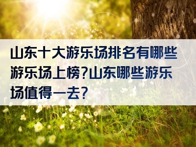 山东十大游乐场排名有哪些游乐场上榜？山东哪些游乐场值得一去？