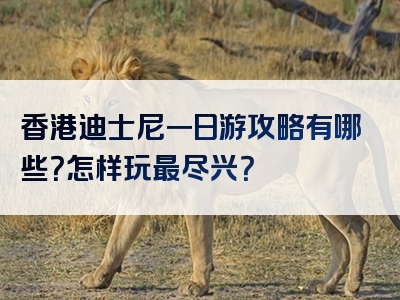 香港迪士尼一日游攻略有哪些？怎样玩最尽兴？