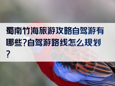 蜀南竹海旅游攻略自驾游有哪些？自驾游路线怎么规划？