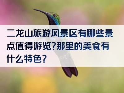 二龙山旅游风景区有哪些景点值得游览？那里的美食有什么特色？
