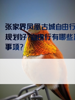 张家界凤凰古城自由行怎么规划好？自由行有哪些注意事项？