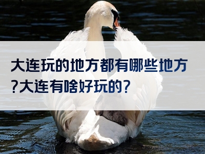 大连玩的地方都有哪些地方？大连有啥好玩的？