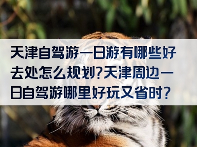 天津自驾游一日游有哪些好去处怎么规划？天津周边一日自驾游哪里好玩又省时？