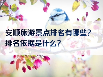 安顺旅游景点排名有哪些？排名依据是什么？