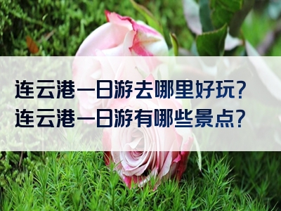 连云港一日游去哪里好玩？连云港一日游有哪些景点？