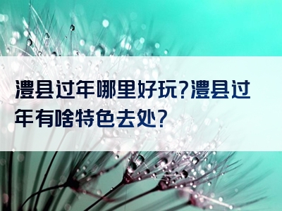 澧县过年哪里好玩？澧县过年有啥特色去处？