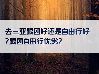 去三亚跟团好还是自由行好？跟团自由行优劣？
