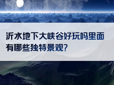 沂水地下大峡谷好玩吗里面有哪些独特景观？