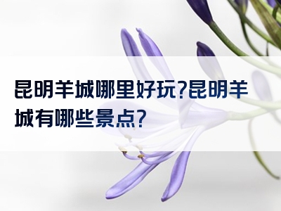 昆明羊城哪里好玩？昆明羊城有哪些景点？