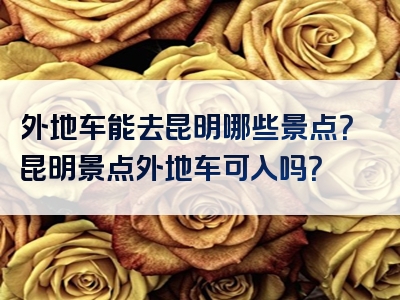 外地车能去昆明哪些景点？昆明景点外地车可入吗？