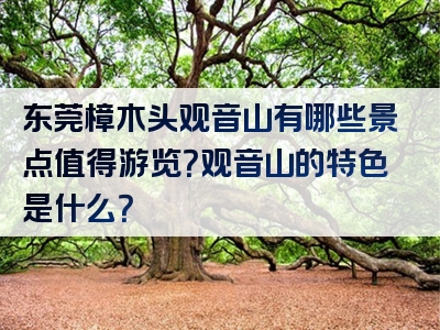 东莞樟木头观音山有哪些景点值得游览？观音山的特色是什么？
