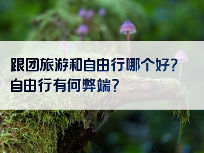 跟团旅游和自由行哪个好？自由行有何弊端？