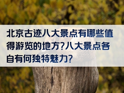 北京古迹八大景点有哪些值得游览的地方？八大景点各自有何独特魅力？