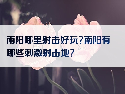 南阳哪里射击好玩？南阳有哪些刺激射击地？