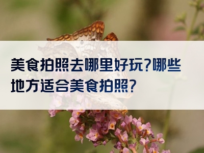 美食拍照去哪里好玩？哪些地方适合美食拍照？