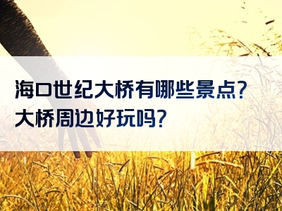 海口世纪大桥有哪些景点？大桥周边好玩吗？