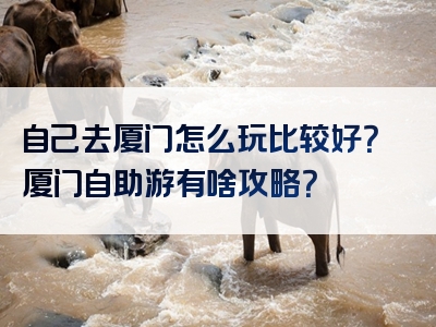 自己去厦门怎么玩比较好？厦门自助游有啥攻略？