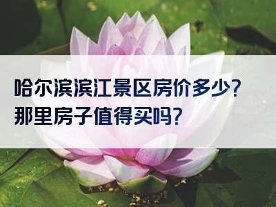 哈尔滨滨江景区房价多少？那里房子值得买吗？