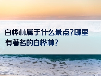 白桦林属于什么景点？哪里有著名的白桦林？
