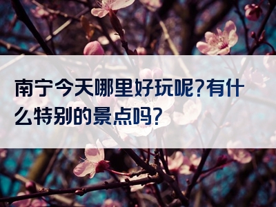 南宁今天哪里好玩呢？有什么特别的景点吗？