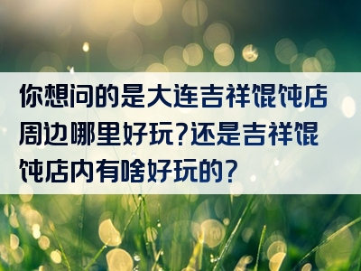 你想问的是大连吉祥馄饨店周边哪里好玩？还是吉祥馄饨店内有啥好玩的？