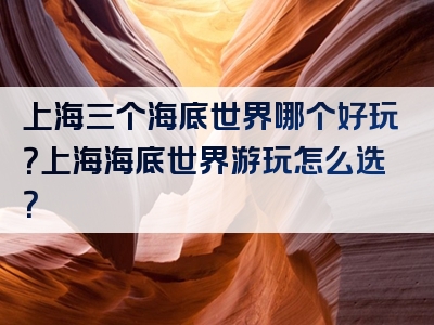 上海三个海底世界哪个好玩？上海海底世界游玩怎么选？