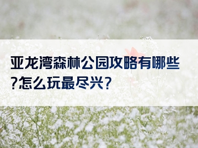 亚龙湾森林公园攻略有哪些？怎么玩最尽兴？