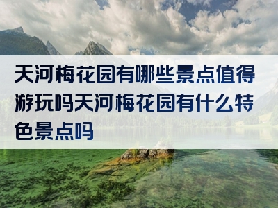 天河梅花园有哪些景点值得游玩吗天河梅花园有什么特色景点吗