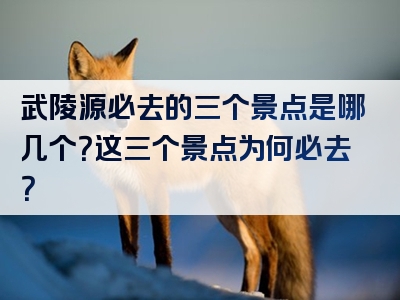 武陵源必去的三个景点是哪几个？这三个景点为何必去？