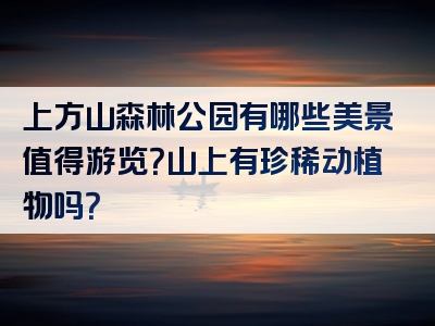 上方山森林公园有哪些美景值得游览？山上有珍稀动植物吗？