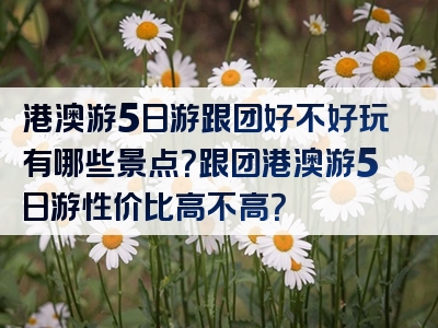 港澳游5日游跟团好不好玩有哪些景点？跟团港澳游5日游性价比高不高？