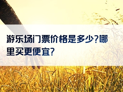 游乐场门票价格是多少？哪里买更便宜？