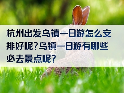 杭州出发乌镇一日游怎么安排好呢？乌镇一日游有哪些必去景点呢？